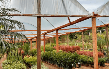 Gardening services